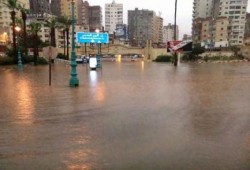 حصيلة سيول البحيرة.. تلف 55 ألف فدان و180 منزلاً ونفوق 1509 ماشية