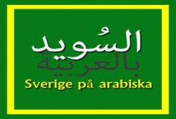 بعد هجوم "أحمد موسي" على سفيرة السويد.. "السويد بالعربية" تصفه "بمرشد أمن الدوله"(صور)