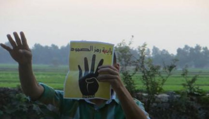 الغربية: فعالية مناهضة للانقلاب بالسنطة في نهاية أسبوع "انقذوا مصر"