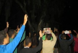 مسيرة ليلية لحركة شباب ضد الانقلاب لثوار السنطة بالغربية