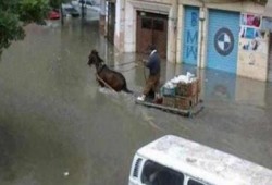 الأرصاد: موجة برودة جديدة وأمطار تصل لسيول خلال أيام