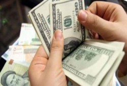 بعد رفع الجنيه.. شركات الصرافة تمتنع عن بيع الدولار