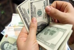 بعد رفع الجنيه.. شركات الصرافة تمتنع عن بيع الدولار