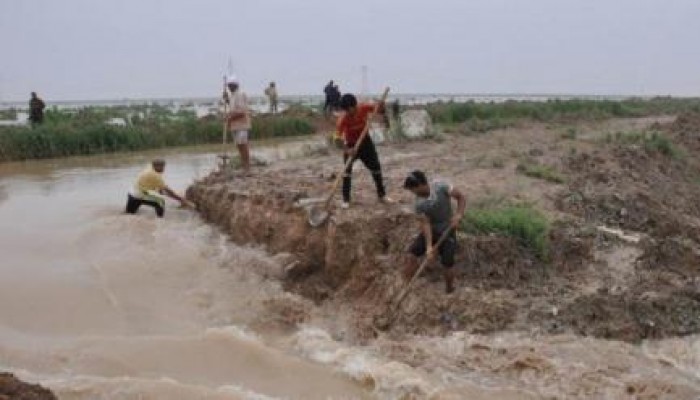 محطة "مياه المكس" تهُدد ببوار أجود الأراضي الزراعية بالإسكندرية