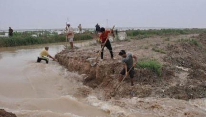 محطة "مياه المكس" تهُدد ببوار أجود الأراضي الزراعية بالإسكندرية