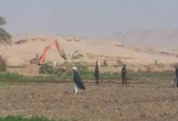 كارثة.. سلطات الانقلاب تجرف 154 فدانًا بسوهاج من أجل "الرز الإماراتي"