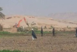 كارثة.. سلطات الانقلاب تجرف 154 فدانًا بسوهاج من أجل "الرز الإماراتي"