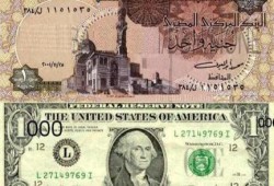 تعرف على سعر الدولار في البنك المركزي والسوق السوداء "اليوم الخميس"