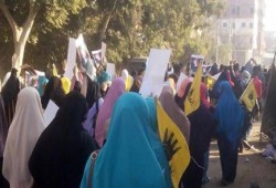 "الثورة تجمعنا": حشود الثوار تزلزل "أبو حماد" بالشرقية في أسبوع ثوري جديد
