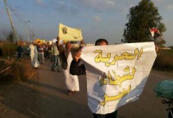 تواصل فعاليات أهالي ‏الدقهلية في أسبوع "الثورة تجمعنا"