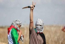 هذا ما فعلته انتفاضة القدس باليهود في "إسرائيل"