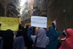 تواصل الفعاليات الثورية بالدقهلية تحت شعار "بدمائنا نحمي نيلنا"