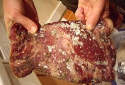 فقط فى عهد الانقلاب: لا رقابة على اللحوم المجمدة المستوردة من الخارج