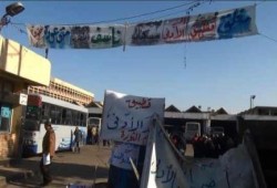 الإسكندرية: إضراب عمال النقل العام بعد خصم 20% من الإيرادات