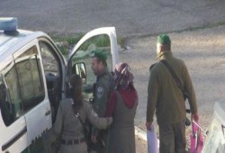 على خطى السيسي:  الاحتلال الصهيونى يعتقل فتاة بادعاء حيازتها سكيناً