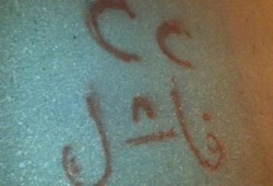 "سيسي فاشل " .. حملة جداريات لثوار الدلنجات تطالب بإسقاط حكم العسكر وإنقاذ مصر