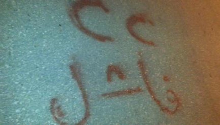 "سيسي فاشل " .. حملة جداريات لثوار الدلنجات تطالب بإسقاط حكم العسكر وإنقاذ مصر