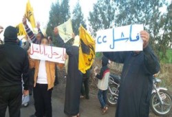 تواصل فعاليات ‫‏الدقهلية‬ في أسبوع "ثورة حتي النصر"