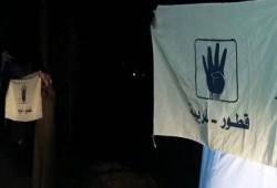 فعالية ليلية بمركز قطور بالغربية ضمن فعاليات "ثورة حتى النصر"