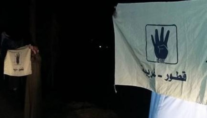 فعالية ليلية بمركز قطور بالغربية ضمن فعاليات "ثورة حتى النصر"