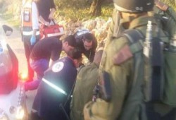 إصابة 4 جنود إسرائيليين في عملية دهس وفرار المنفذ
