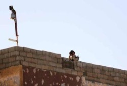 إصابة فلسطيني برصاص جيش السيسي في رفح
