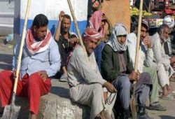 "الانقلاب" يعترف بالعجز عن حل مشكلة البطالة