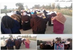 أحرار الشرقية والبحيرة ينتفضون صباح ثالث أيام أسبوع "اتحدوا تنتصروا"