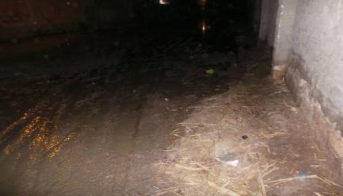 غرق شوارع "دار السلام" بالفيوم بمياة الصرف الصحي.. والمسئولون عاجزون عن حلها