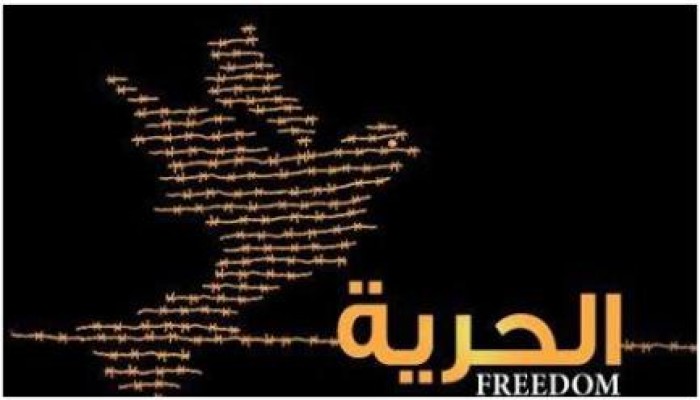 جنح مستأنف دمنهور تخلي سبيل حدثين من أطفال حوش عيسى بدون ضمانات