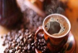 ما هي أهم العادات التي تضر بالكليتين؟