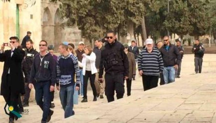 اعتقالات بالضفة.. وقطعان الصهاينة يدنسون الأقصى