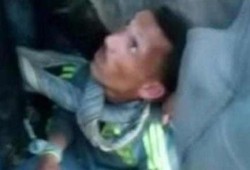القبض على شخص بالمنوفية.. أثناء قيامه وآخرين بذبح حمير