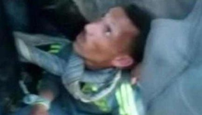 القبض على شخص بالمنوفية.. أثناء قيامه وآخرين بذبح حمير