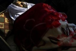 الصحة الفلسطينية: 142 شهيدا وأكثر من 15 ألف مصاب حصاد انتفاضة القدس