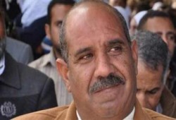 فضيحة ..  فلاح السيسي: قمت بالدور مقابل بقرتين بالتقسيط