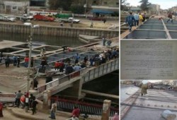رحلة الموت اليومية لأهالى ‫‏المحمودية‬ بالبحيرة والمسؤولين "خارج الخدمة"