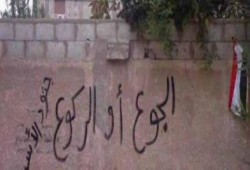 شهادة طبيب هارب من مضايا السورية: حصار الألغام زاد الأهالي جوعاً