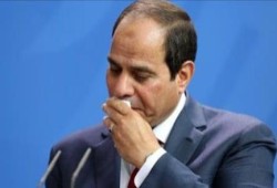 المشروعات "النونو" والقروض "الجامبو"