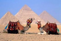 انهيار السياحة في عهد الانقلاب: خسائر قطاع السياحة في نوفمبر 37%