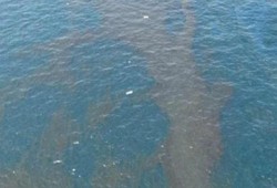تلوث بترولي يضرب كورنيش رأس غارب بالبحر الاحمر