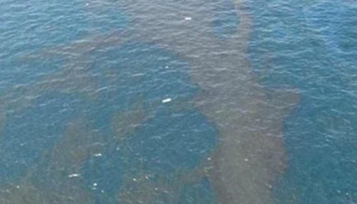 تلوث بترولي يضرب كورنيش رأس غارب بالبحر الاحمر