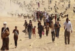 وليد الطبطبائي: ميلشيات الشيعة تهدم مساجد وتقتل وتهجر أهل السنة في العراق