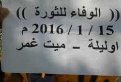 وقفة احتجاجية مناهضة لحكم العسكر في ميت غمر بالدقهلية