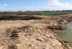 مزارعو غرب الإسكندرية: 300 فدان مهددة بالبوار بسبب نقص المياه