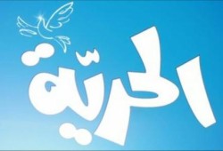 جنايات دمنهور تبرئ 3 من رافضي الانقلاب بحوش عيسي
