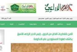 رعب لدى المصريين بعد استيراد الانقلاب شحنات قمح مسرطن
