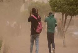 أطعمة مفيدة لصحة العيون وحمايتها من مخاطر العاصفة الترابية
