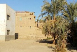 إهمال الانقلاب: حمير وبقر وميزان حيوانات فى مدرسة بسوهاج