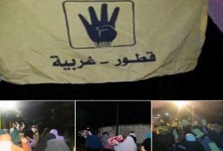 فاعليات مسائية بمحافظة الغربية ضمن أسبوع "الوفاء للثورة"